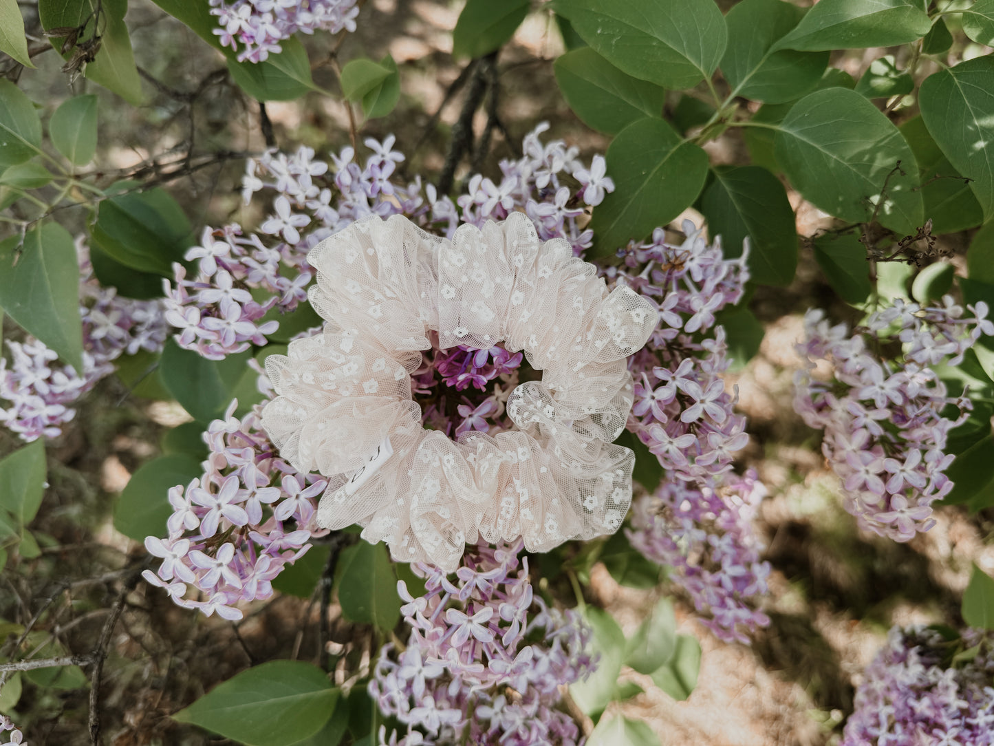 Eden Midsized